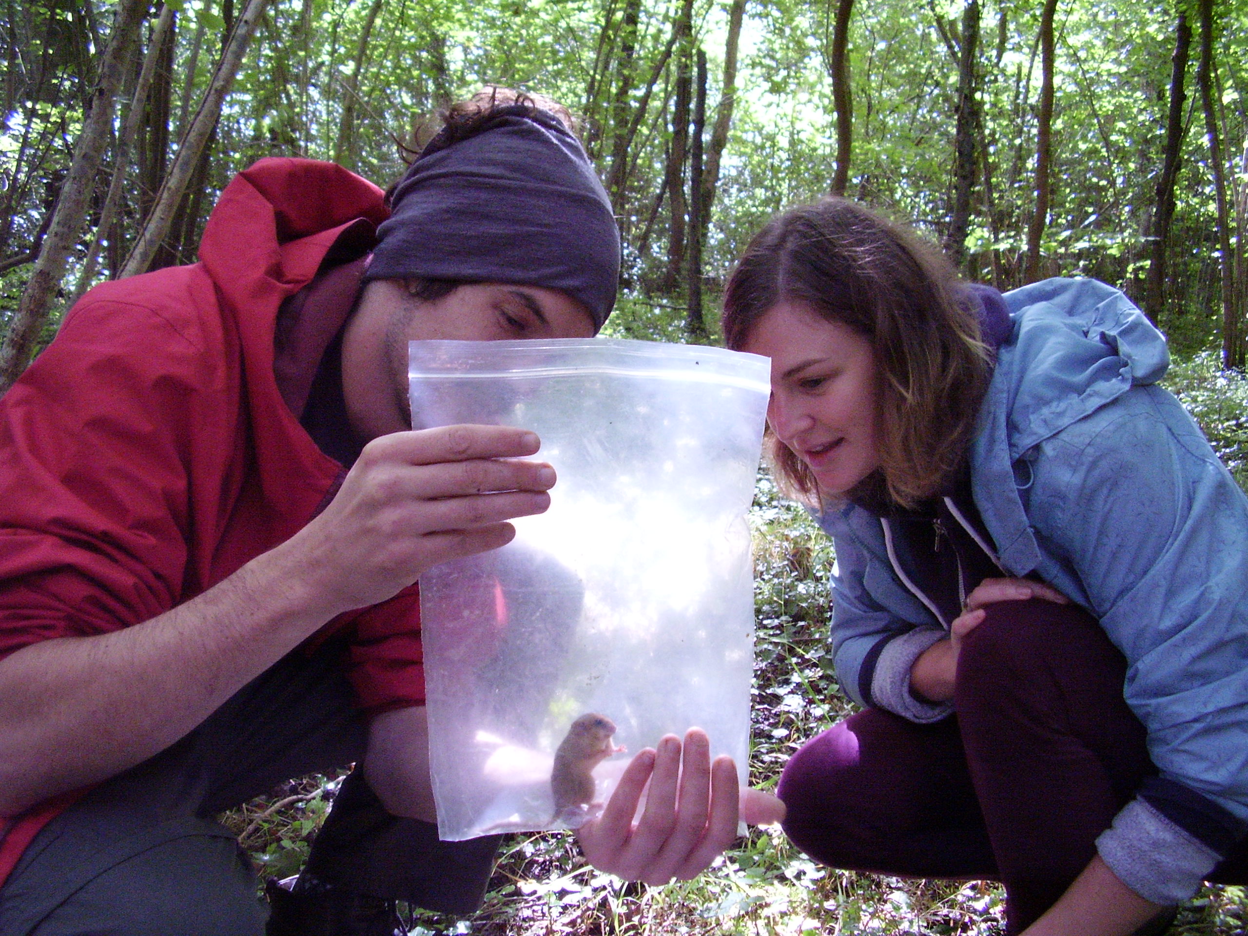 Brighton uni students with dormouse